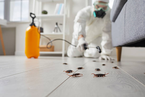 Post-Treatment Bed Bug Interceptor Monitoring in Clarion